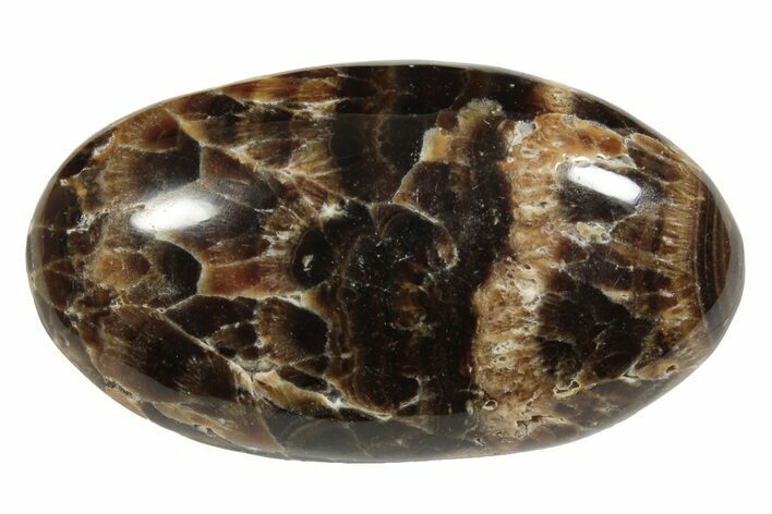 Polished Chocolate Calcite Palm Stone - Pakistan #220958